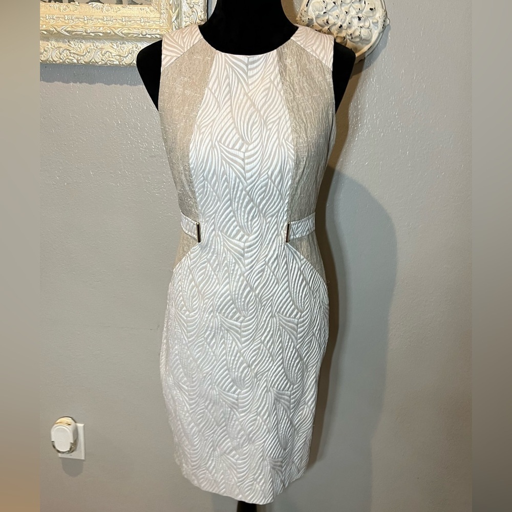 Ellen Tracy shift dress